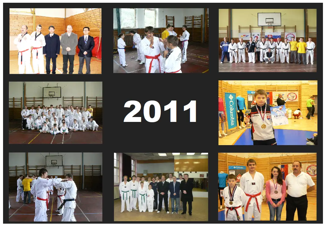 ILYO Taekwondo Zvolen