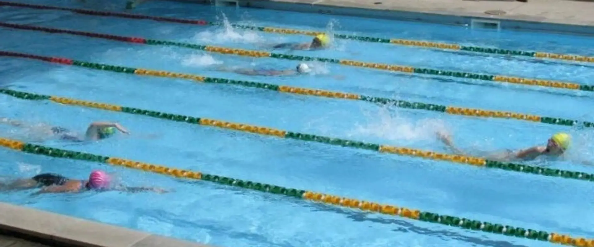 The Everton Park Sharks Swimming Club
