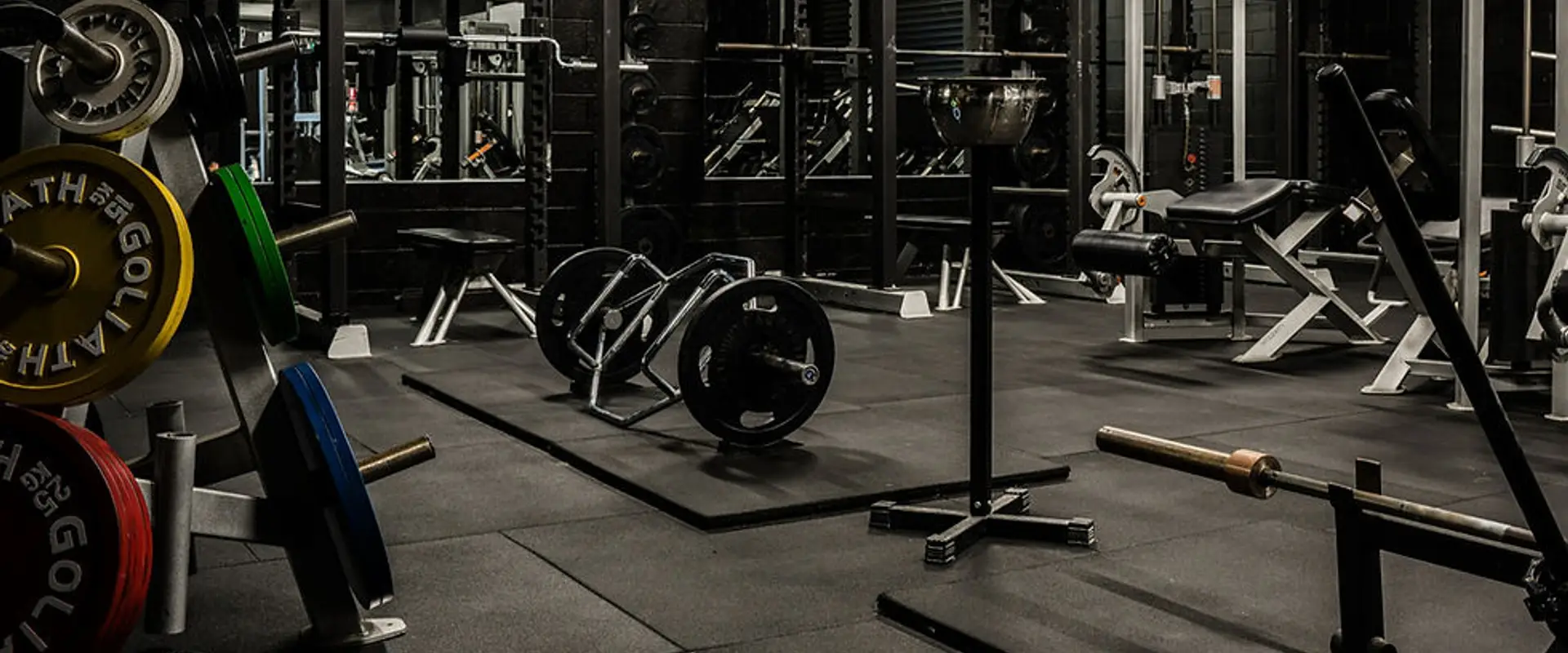 Elite Physiques