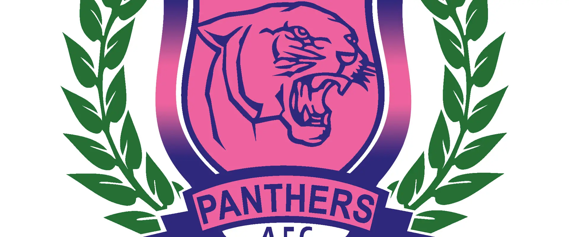 Exeter Panthers AFC