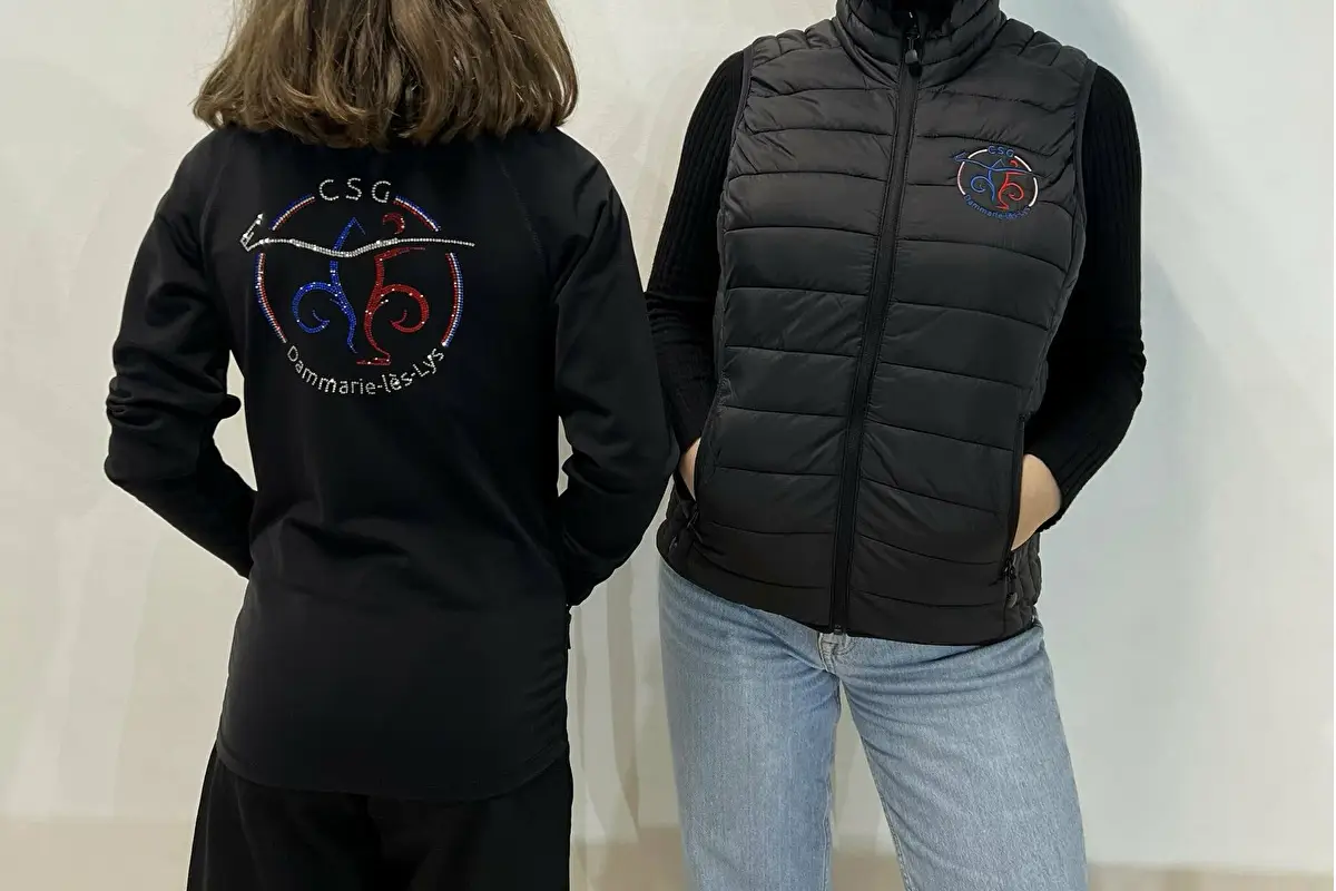 Club des Sports de Glace Dammarie-les-Lys