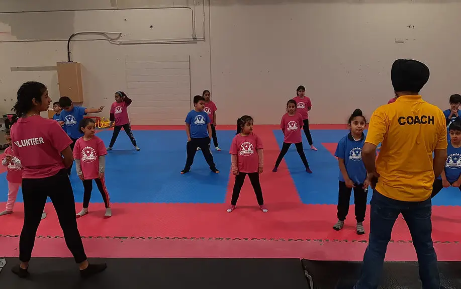 Folk Star Bhangra Academy