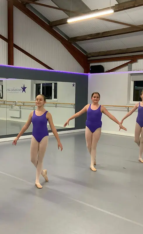 The Performing Arts Theatre Academy
