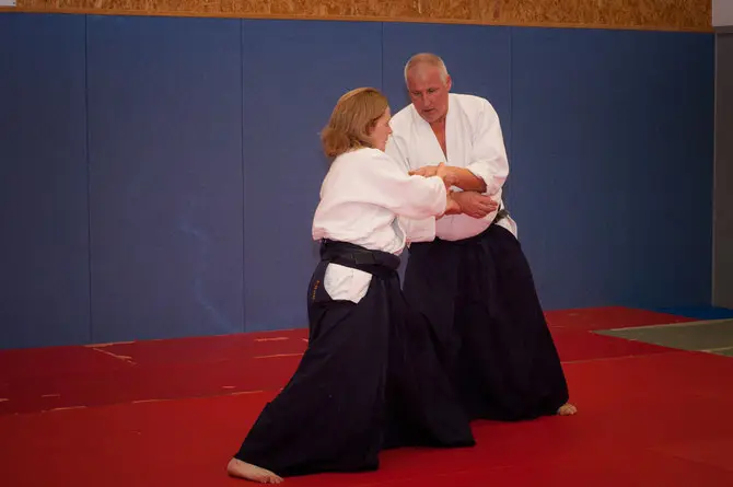 Aikido Sarbazan