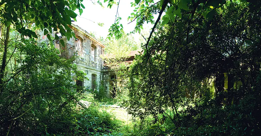 Bivouac Darwin
