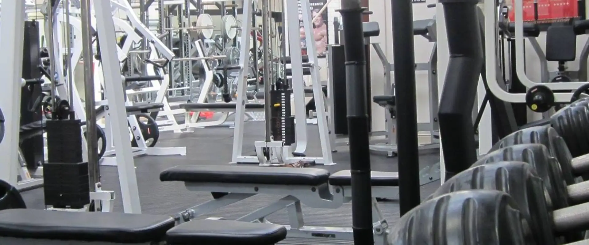 Repz Gym