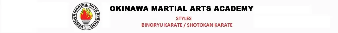 Bino Ryu Karate Do Association Pune