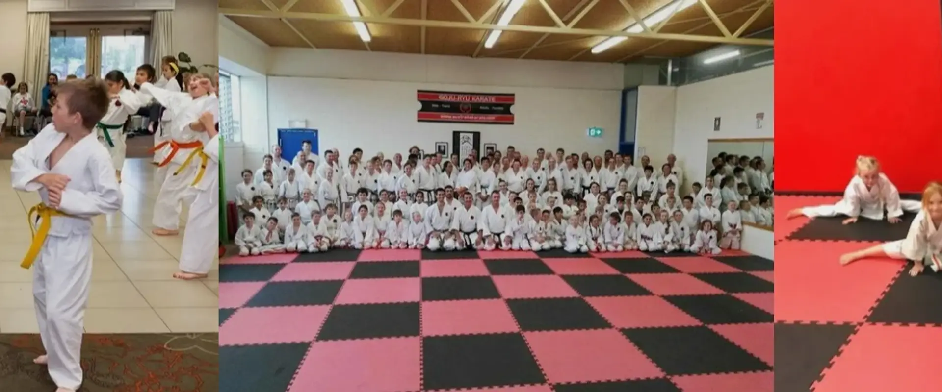 Australian Okinawan Goju-Ryu Karate-Do Federation