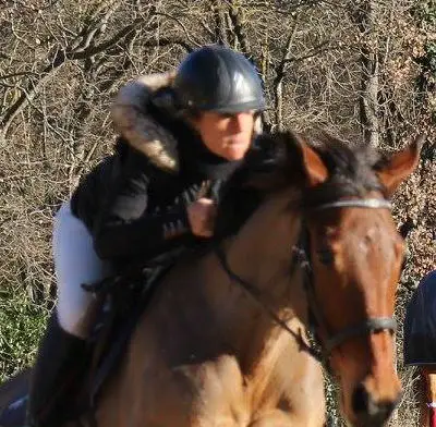 LES CHEVAUX DE ST ESTEVE