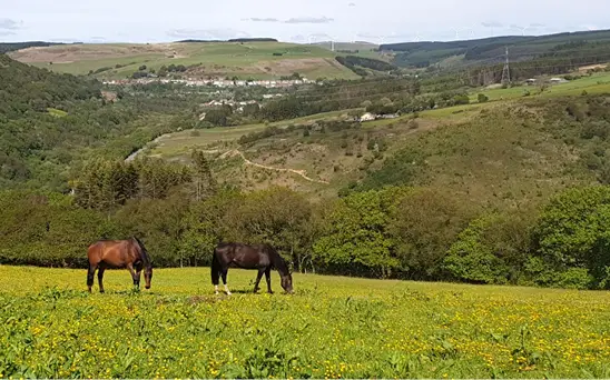 Cimla Equestrian Centre