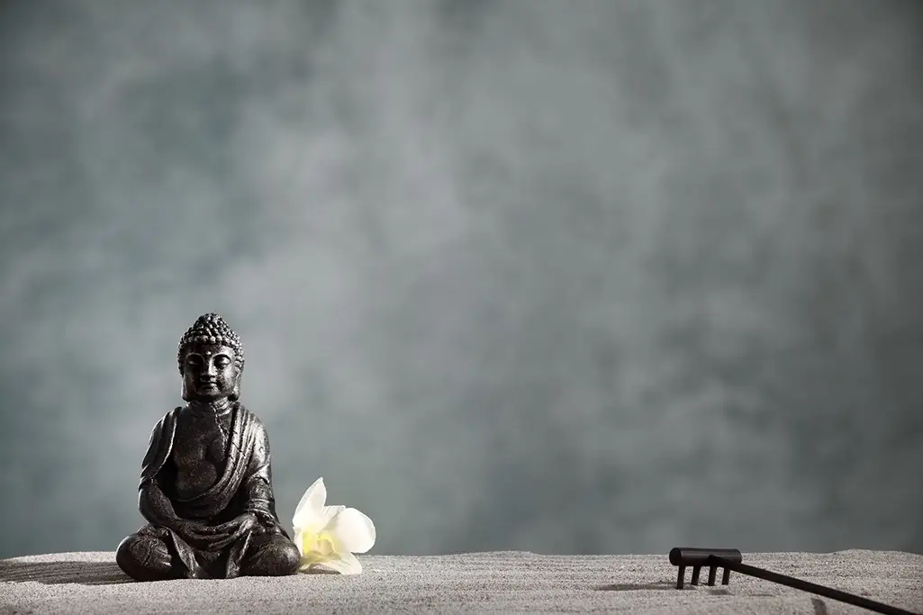 The Yoga House Yarm