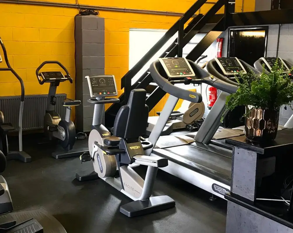 Iron Lion Gymnasium