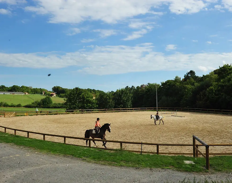 BERCHERES EQUITATION