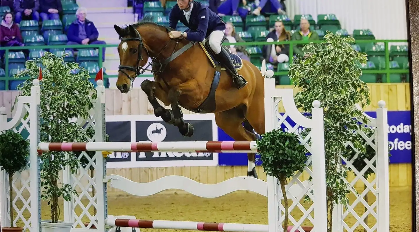 Prestige Equestrian
