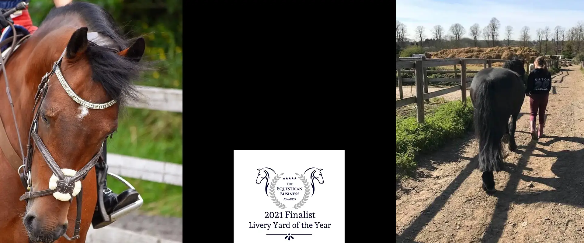 Old Bexley Equestrian Centre