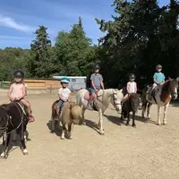 Les Écuries de Vela - Lafare à Cheval