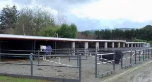 Thompsons Riding School