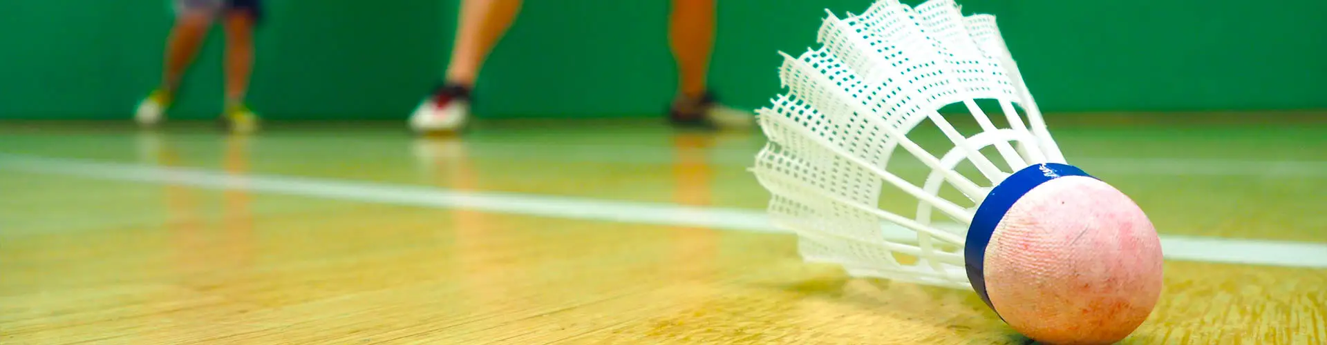 Leicester Lions Badminton Club