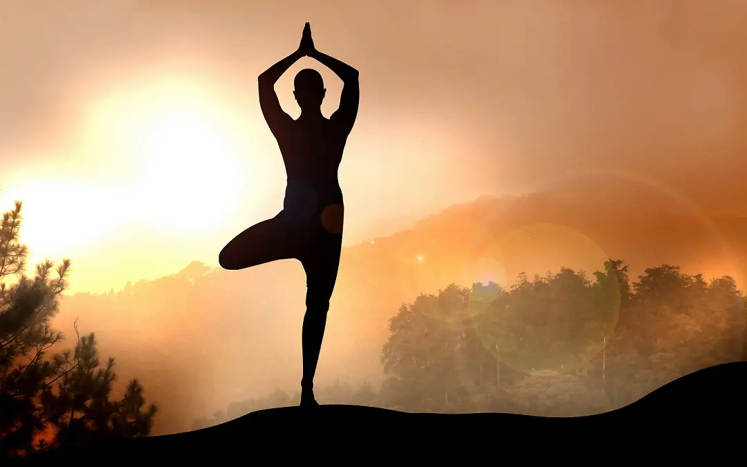 SDCARE YOGA