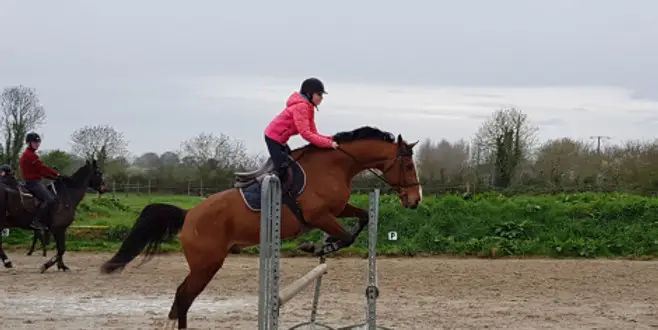 Raveno Equi Jump Earl