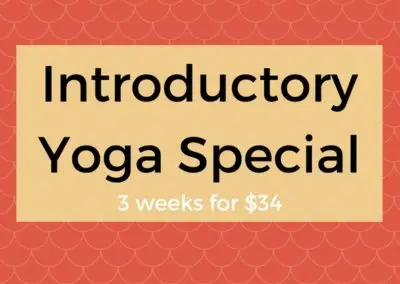 Sun Yoga Inc