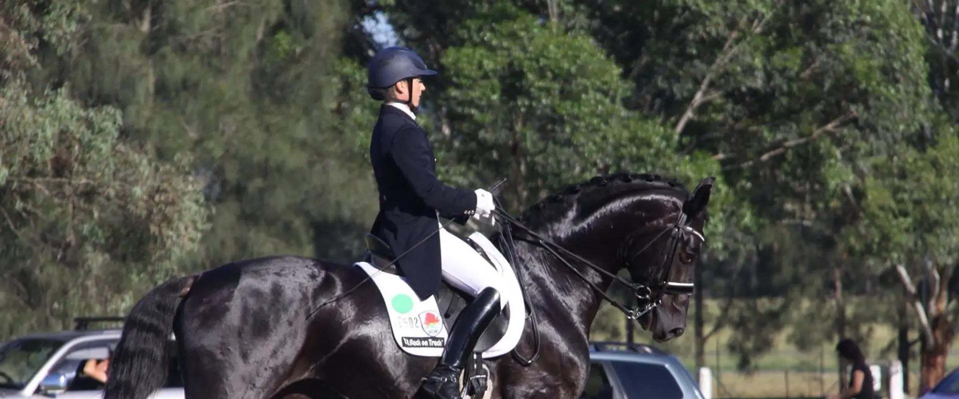 C & J Dierks Advanced Dressage Training Centre