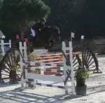 Olivier Bauer