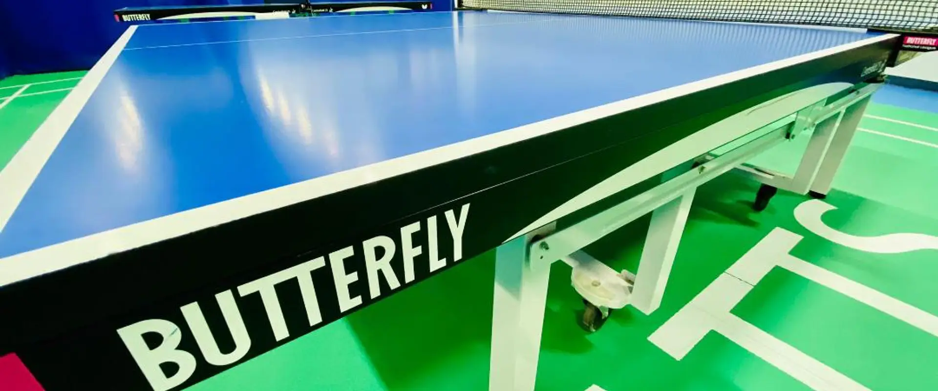 Table Tennis Club in Mississauga