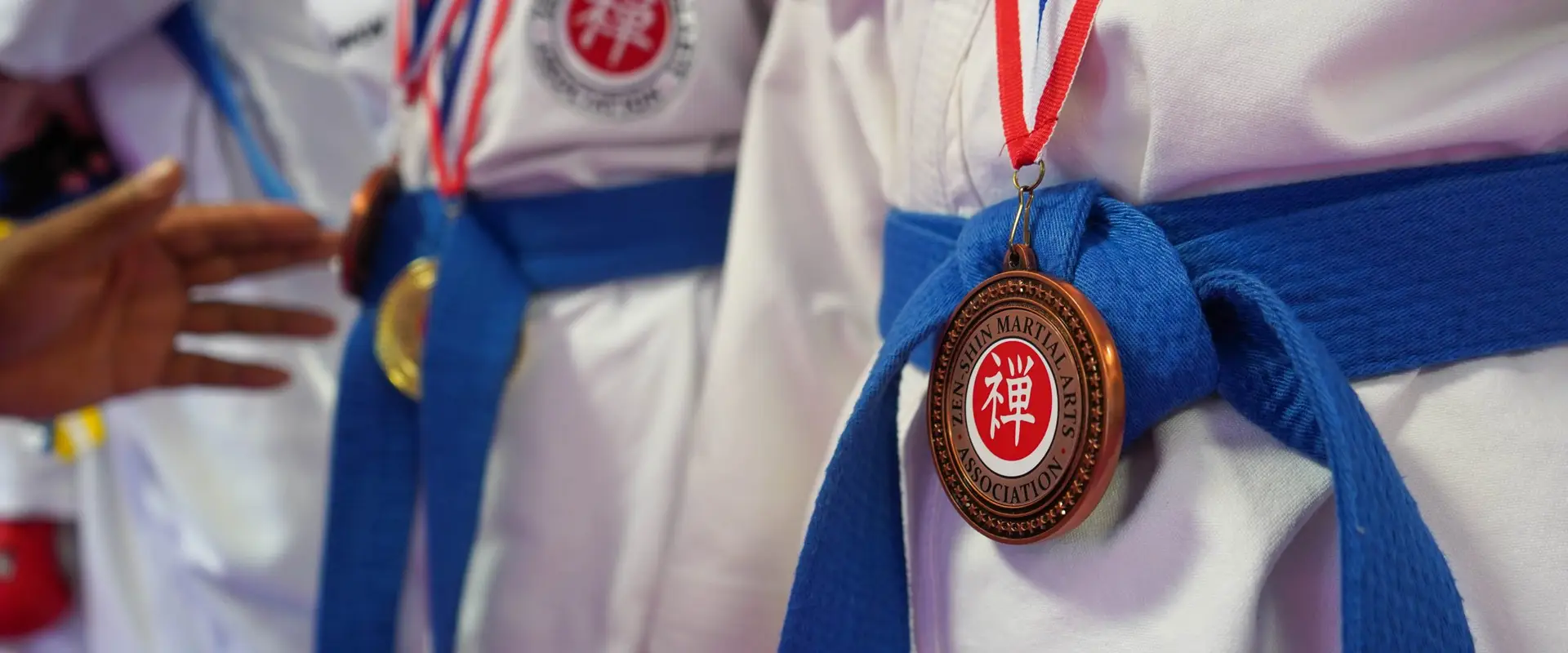Zen-Shin Martial Arts Academy - Aldridge