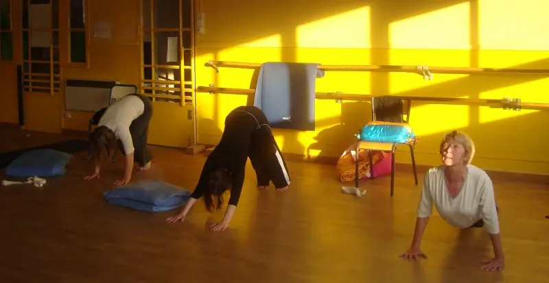 Espace De Yoga Iyengar De Rouen Petit Pascale