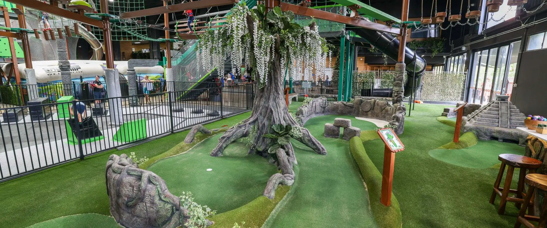 The Jungle Adventure Play