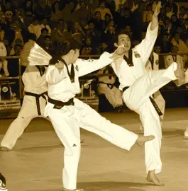 World Hwarangdo Diamond Federation