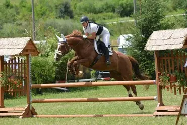 Agro Zula s.r.o.