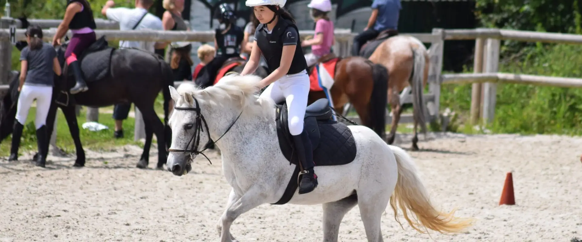 Cercle Hippique Du Bois De Vincennes - School Riding / Pas De Balade
