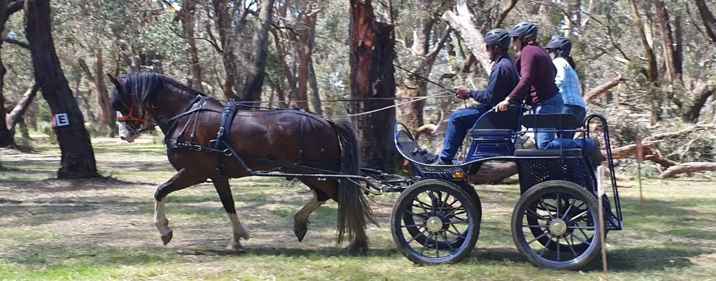 Mornington Peninsula Pleasure Harness Club