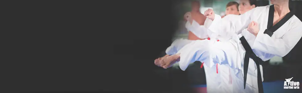Aktive Martial Arts