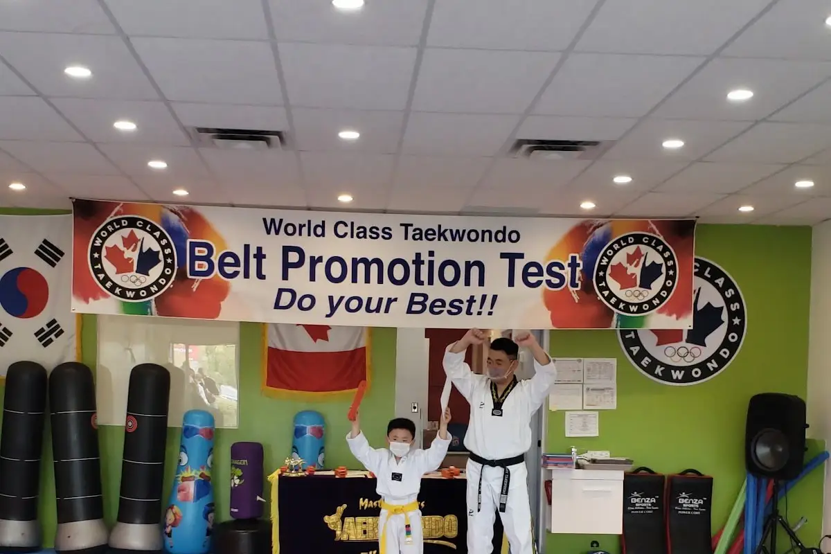 World Class Taekwondo Academy