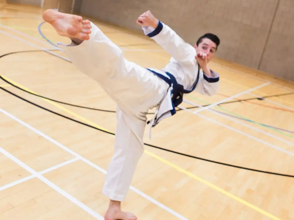 Zi Shiying Tang Soo Do