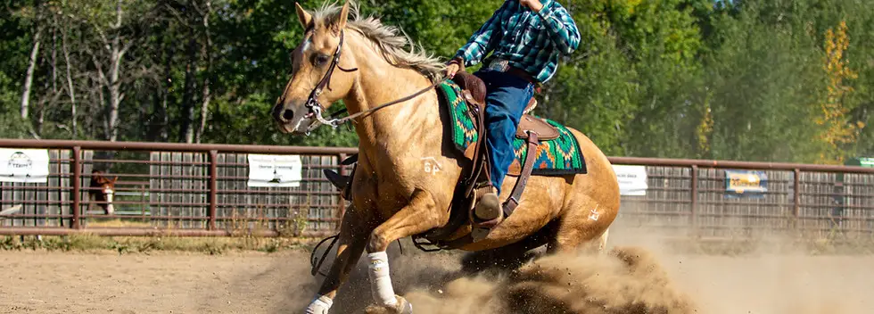 Northern Alberta Reining Horse Assoc.