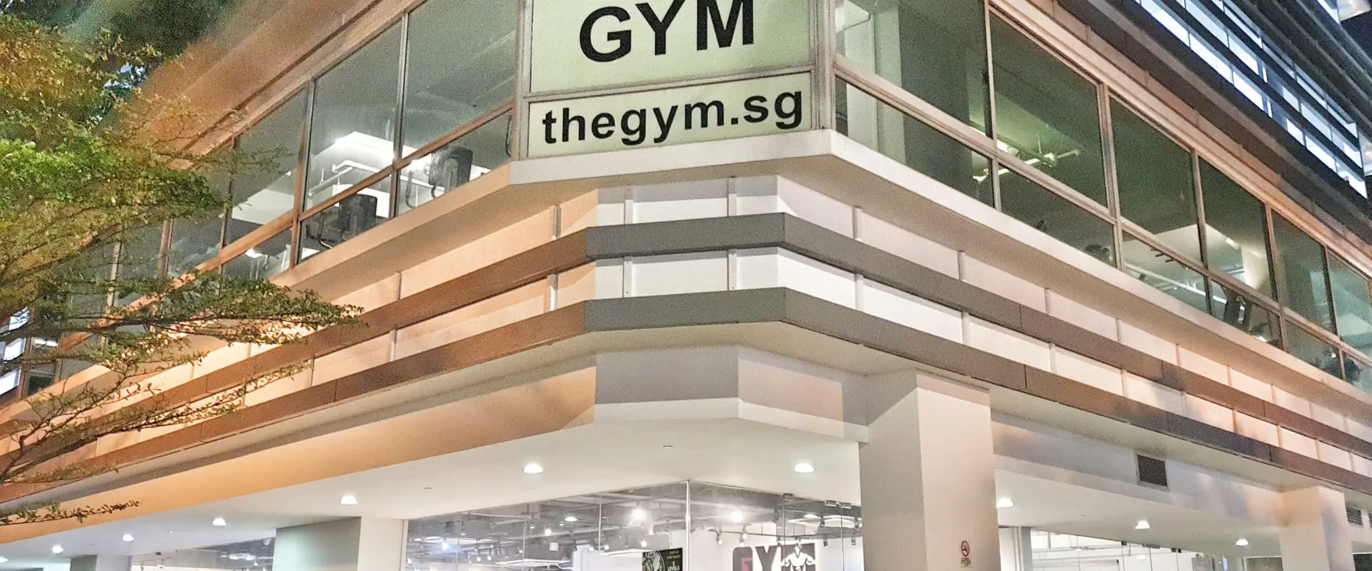 THE GYM
