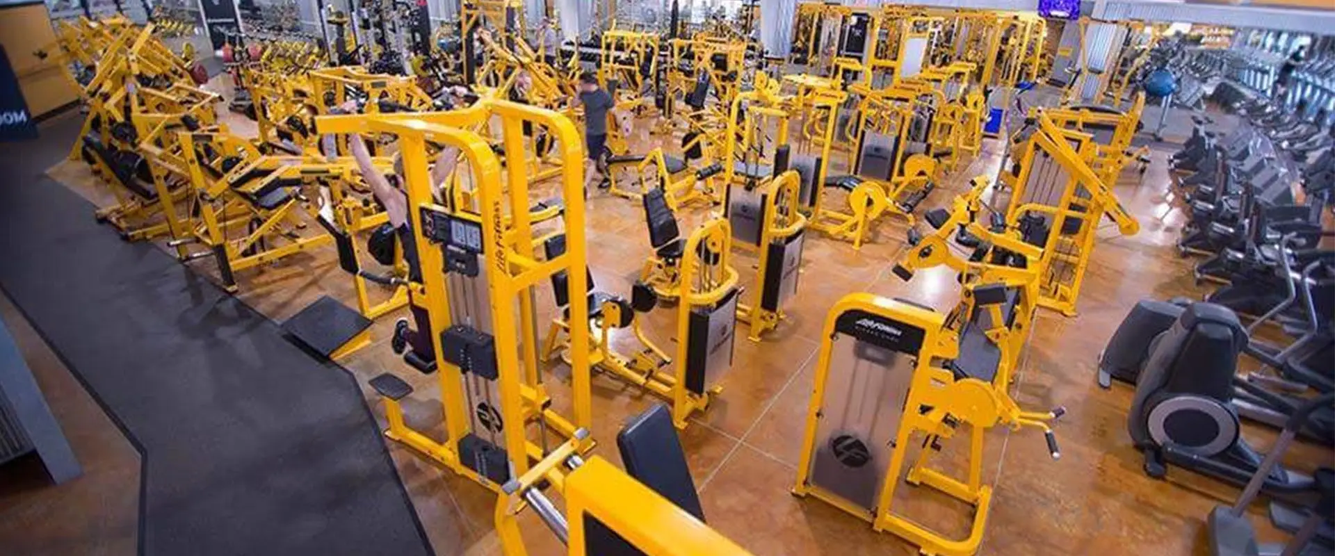 Q Fitness
