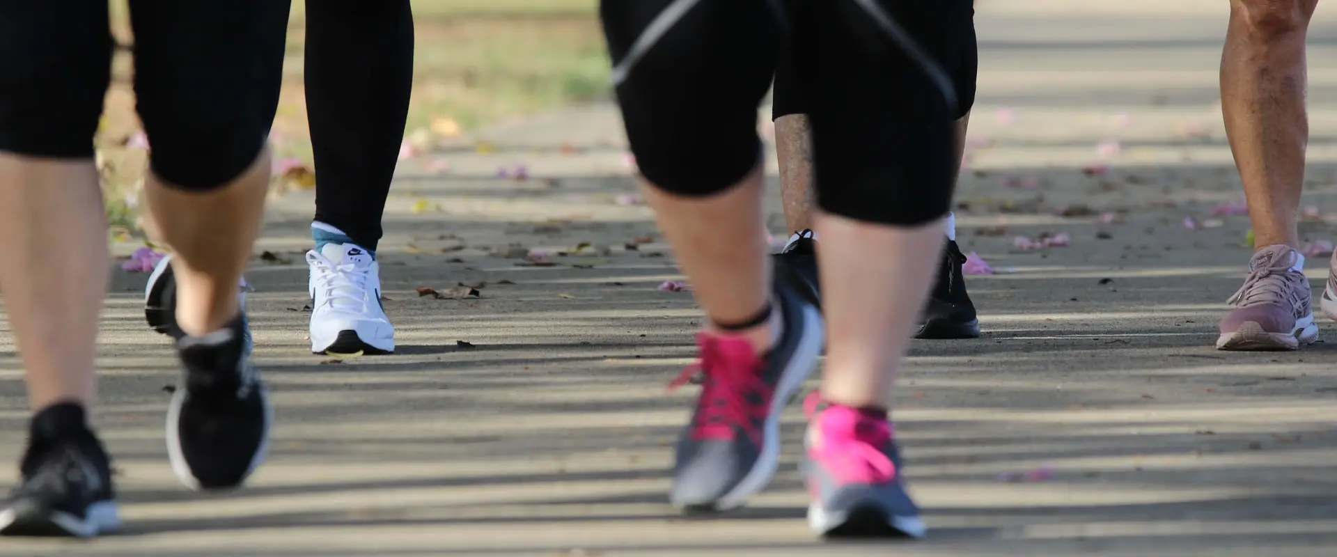 Women Who Walk and men too