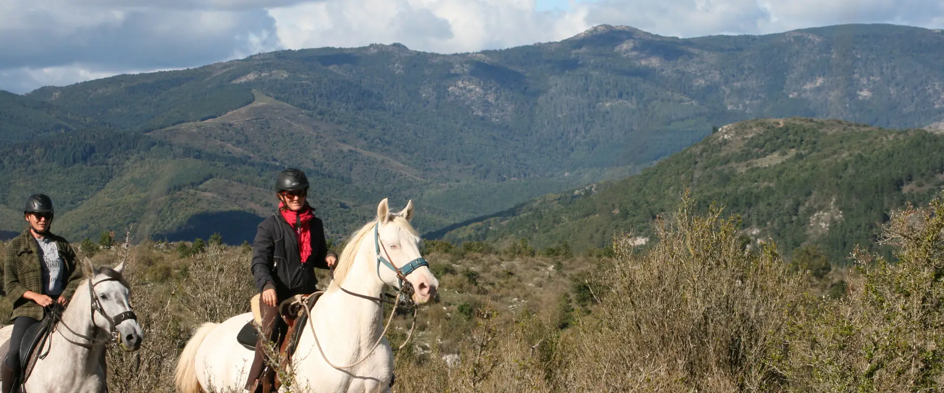 Les Cavaliers Du Reg, Promenades And Hiking On Horseback And Carriage