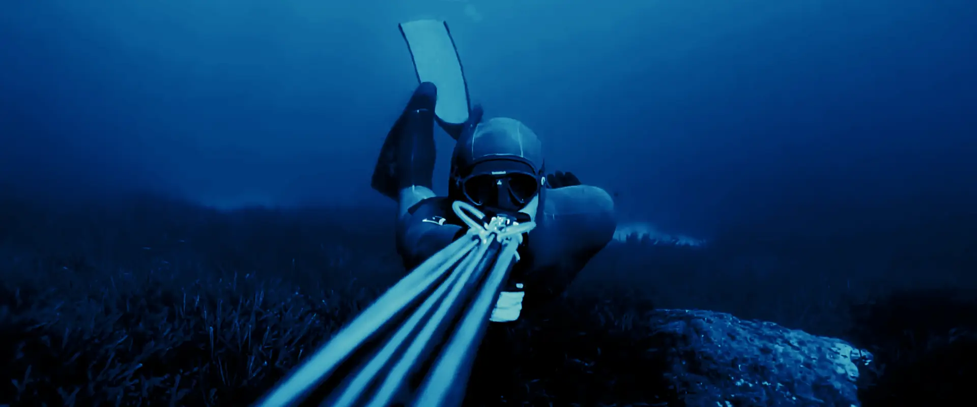 FLYINGFISH SPEARFISHING