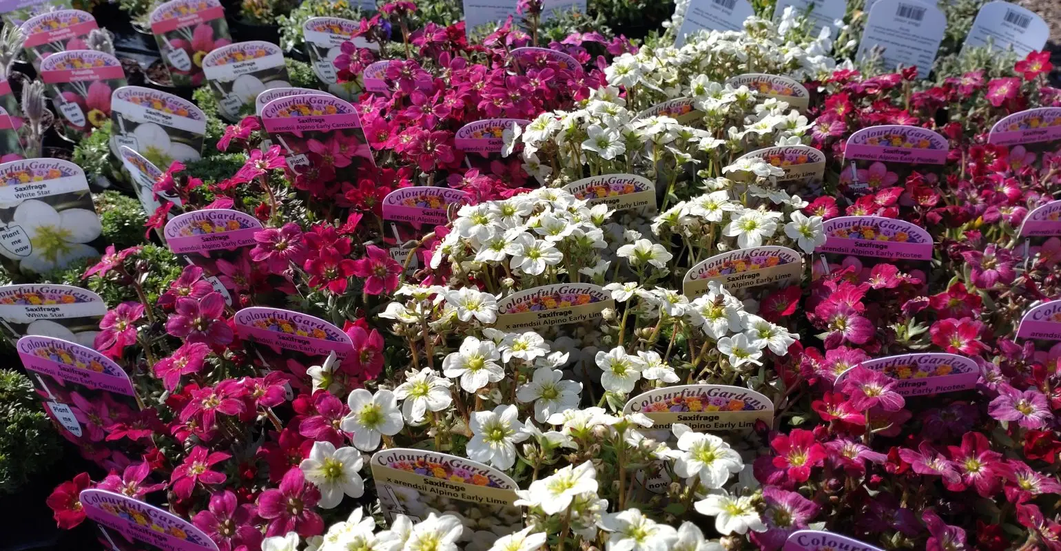 Willowbrook Nursery and Garden Centre