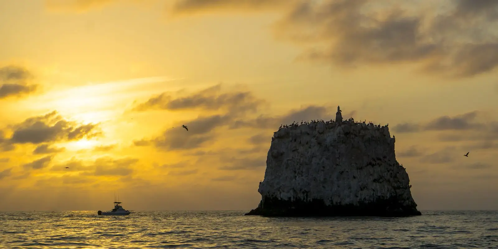 Marina San Blas Ecotours "Pesca Deportiva y Ecotours" Avistamiento Ballenas