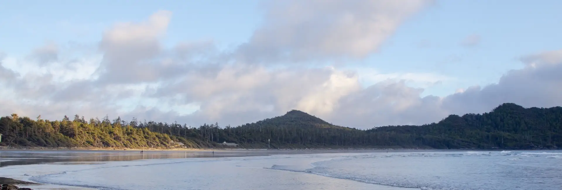 The Surf Club