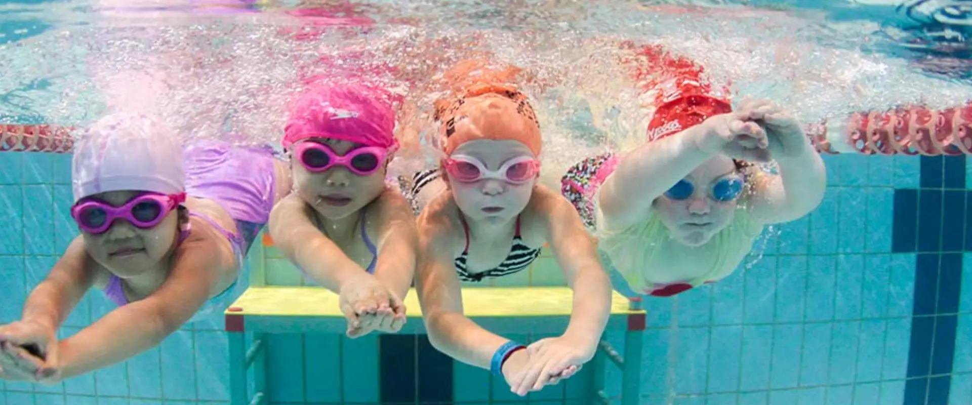 Big Blue Swimming - Warringah Aquatic Centre