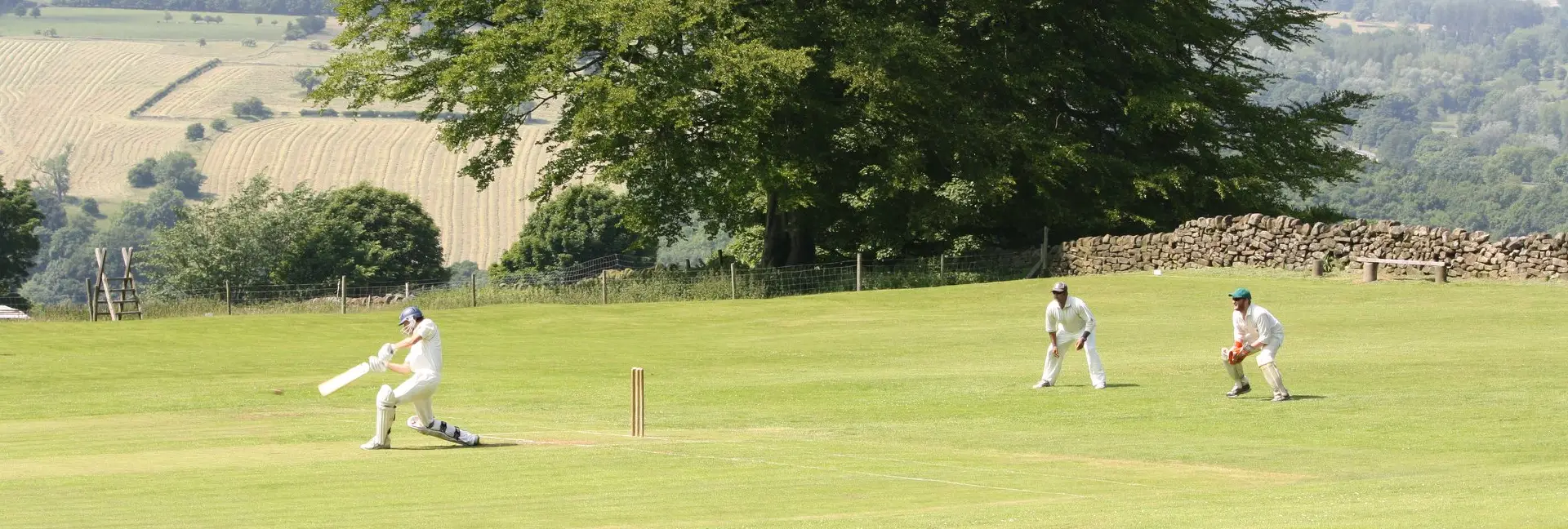 Collaroy Plateau Cricket Club