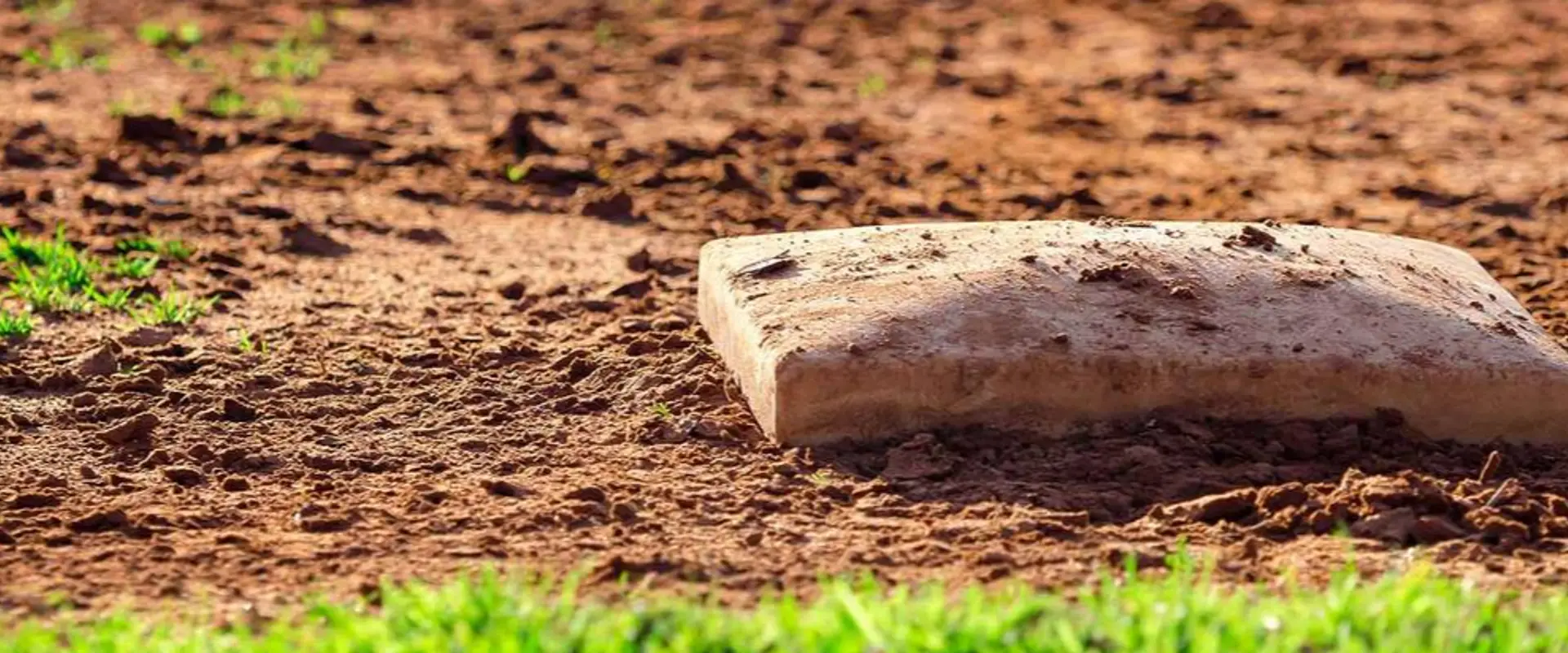 Forest Baseball Club